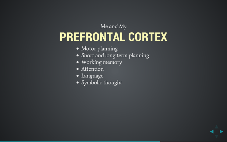 Slide: Me and my prefrontal cortex.