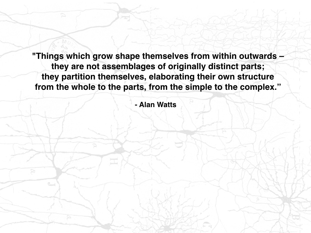 Slide: Alan Watts quote